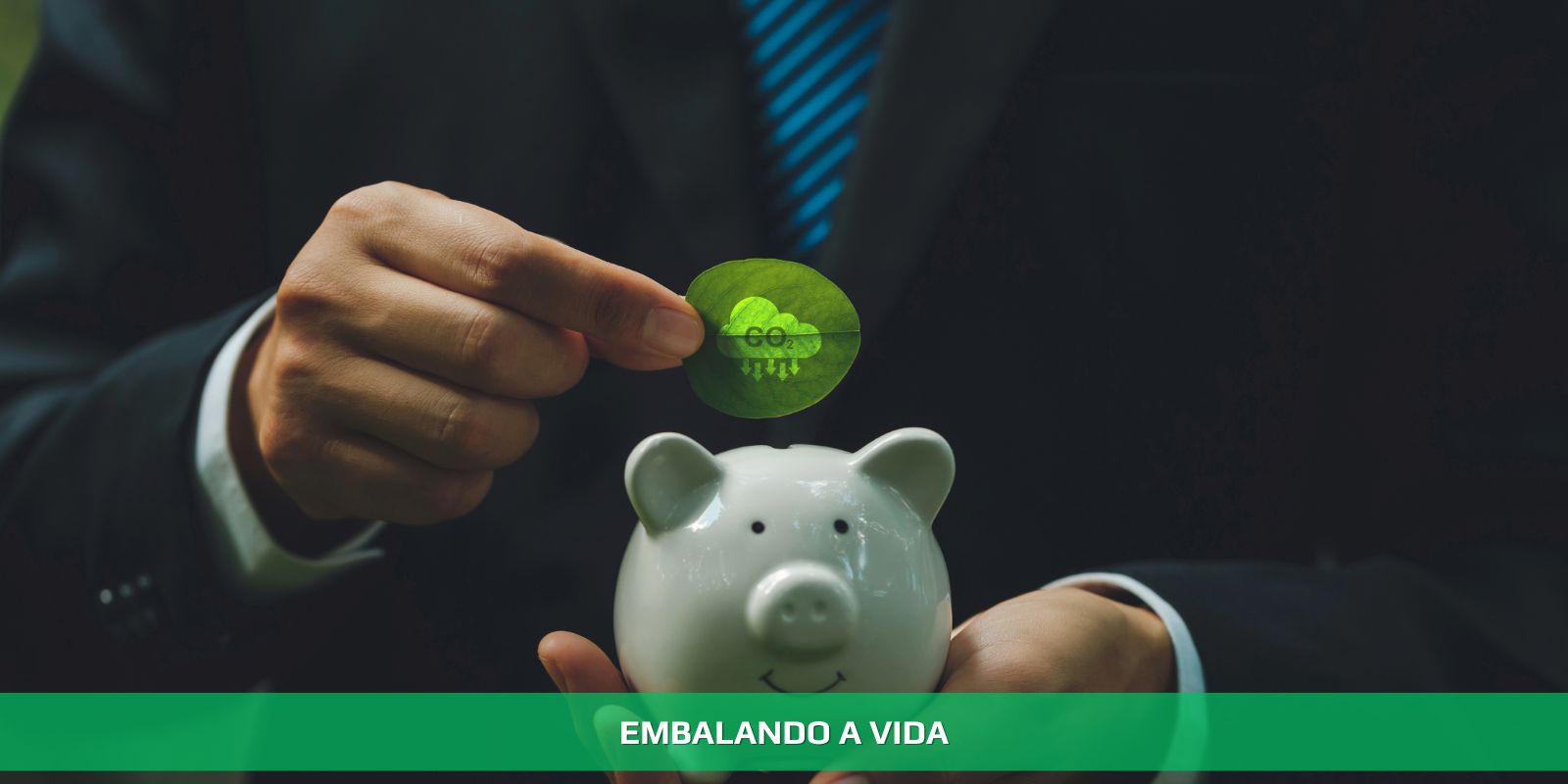 Figura 2 - BIOECONOMIA E CONTABILIDADE DE CARBONO